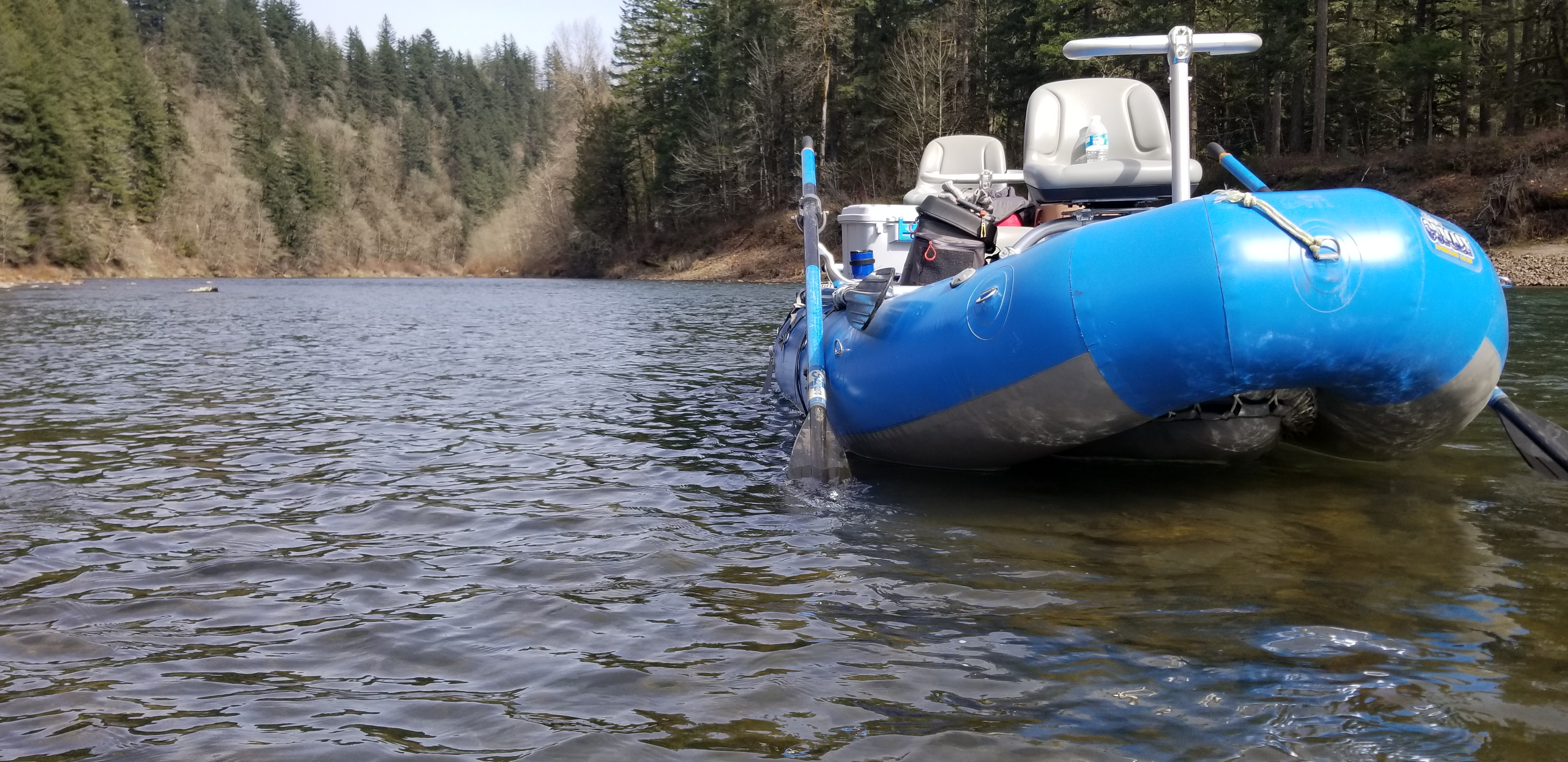 Clackamas River RiverWise Anglers Fly Fishing